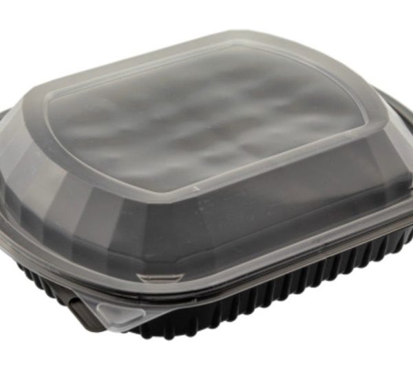 Polipropilenska posuda 250x210x95mm PP Menu box MB1